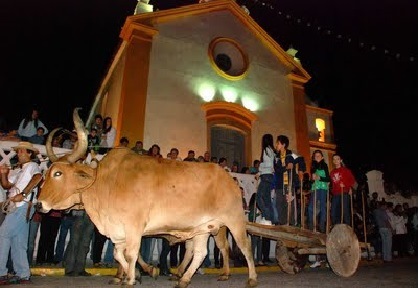 Fotografia de slideshow