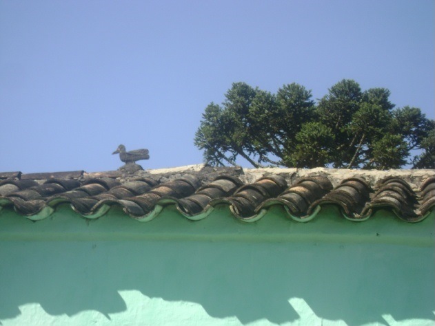 Fotografia de slideshow