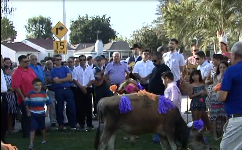 Fotografia de slideshow