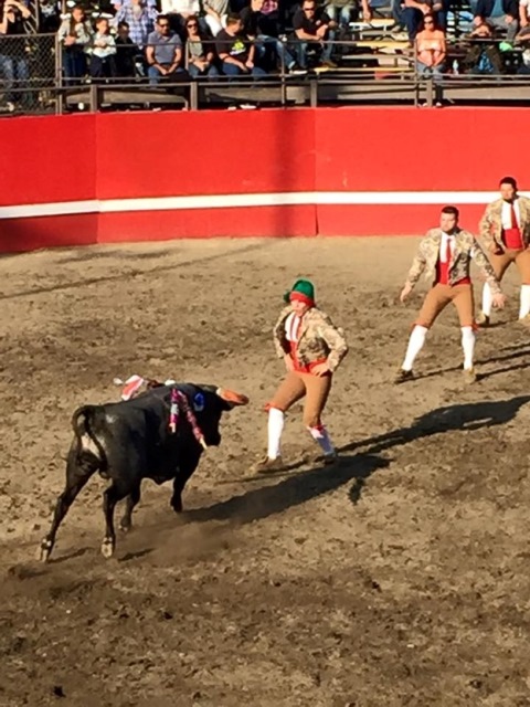 Fotografia de slideshow